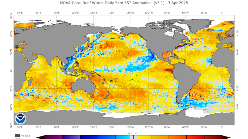 Sea Surface Temperature Anomalies